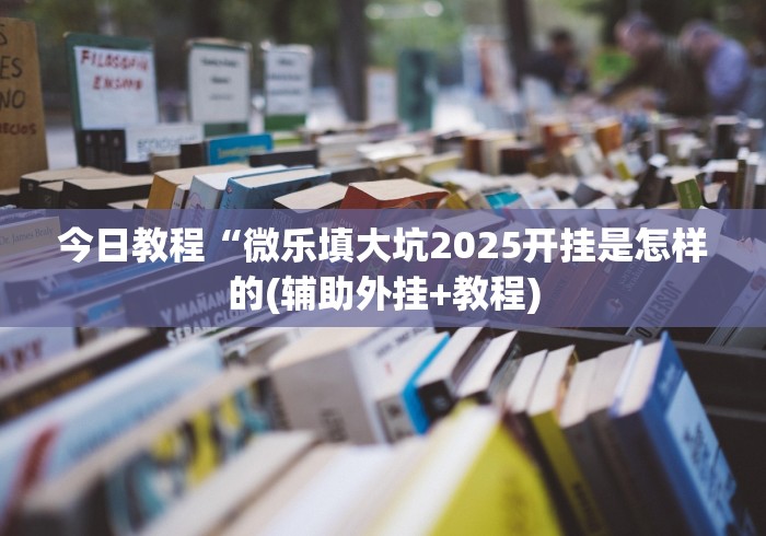 今日教程“微乐填大坑2025开挂是怎样的(辅助外挂+教程)