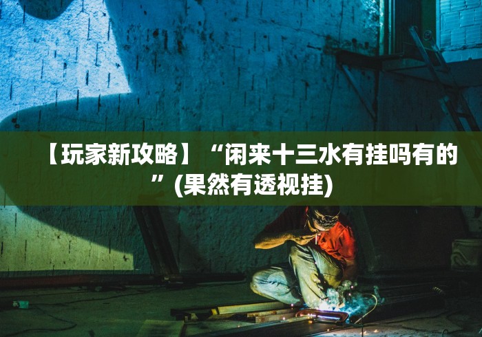 【玩家新攻略】“闲来十三水有挂吗有的”(果然有透视挂)