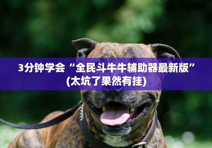 3分钟学会“全民斗牛牛辅助器最新版”(太坑了果然有挂)