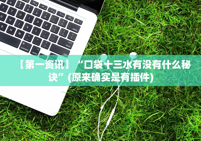 【第一资讯】“口袋十三水有没有什么秘诀”(原来确实是有插件)