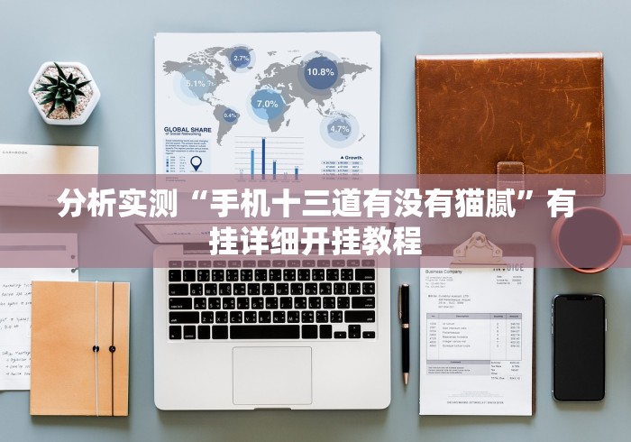 分析实测“手机十三道有没有猫腻”有挂详细开挂教程