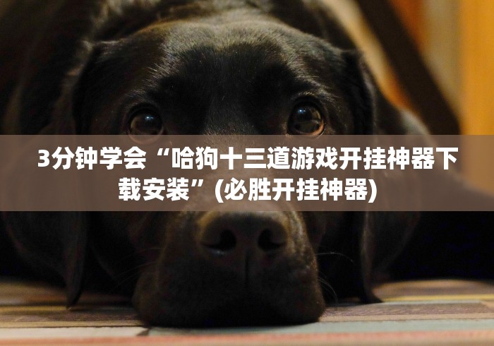 3分钟学会“哈狗十三道游戏开挂神器下载安装”(必胜开挂神器)