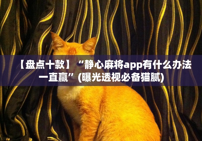 【盘点十款】“静心麻将app有什么办法一直赢”(曝光透视必备猫腻)