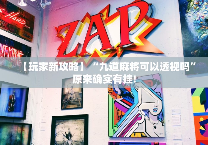 【玩家新攻略】“九道麻将可以透视吗”原来确实有挂!