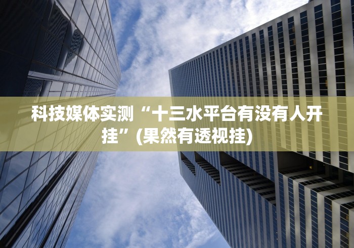 科技媒体实测“十三水平台有没有人开挂”(果然有透视挂)