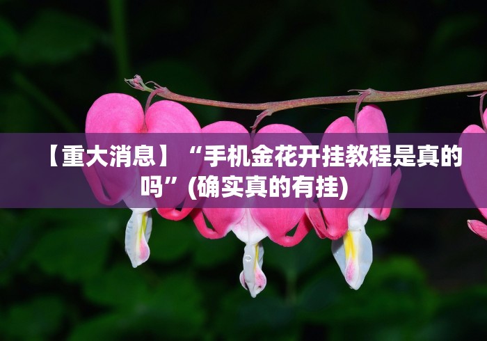 【重大消息】“手机金花开挂教程是真的吗”(确实真的有挂)