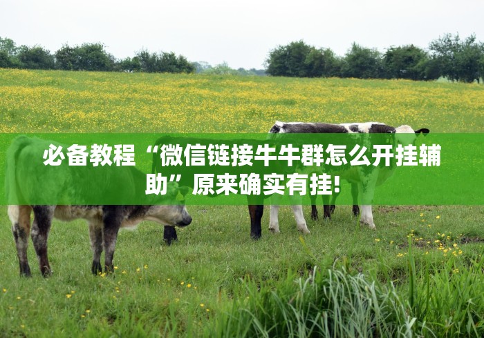 必备教程“微信链接牛牛群怎么开挂辅助”原来确实有挂!