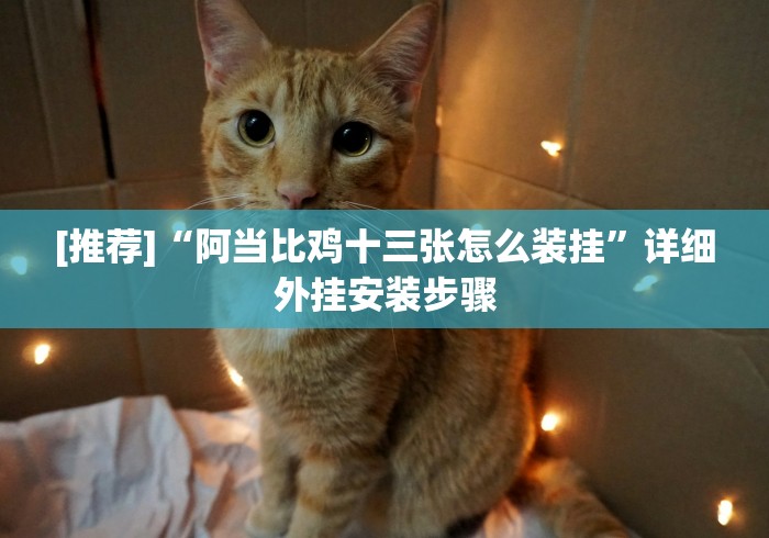 [推荐]“阿当比鸡十三张怎么装挂”详细外挂安装步骤