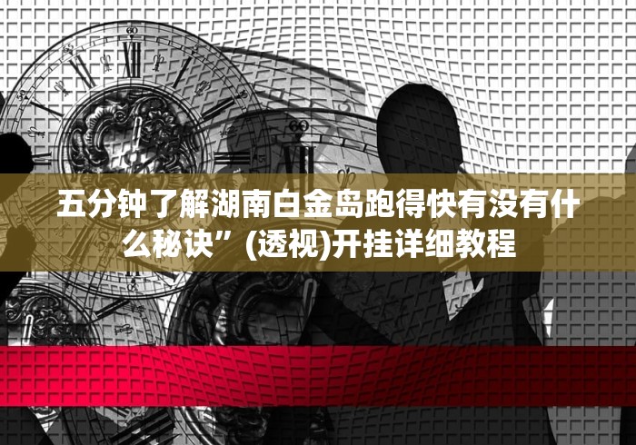 五分钟了解湖南白金岛跑得快有没有什么秘诀”(透视)开挂详细教程