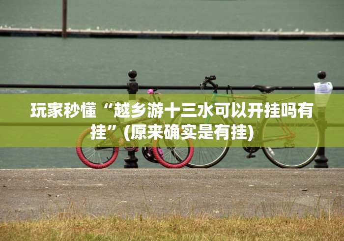 玩家秒懂“越乡游十三水可以开挂吗有挂”(原来确实是有挂)