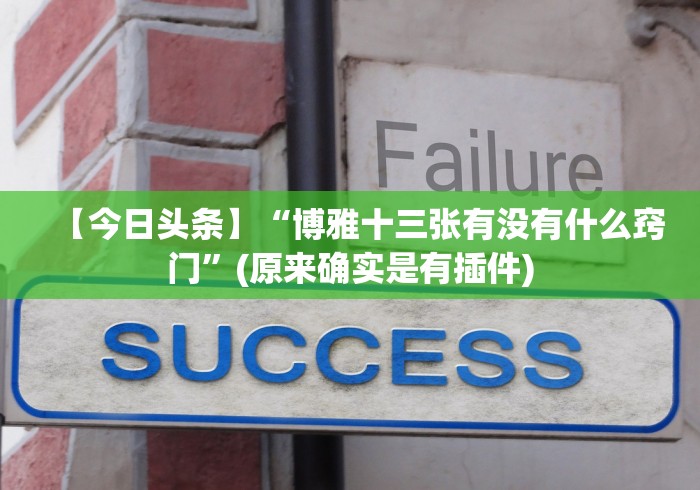 【今日头条】“博雅十三张有没有什么窍门”(原来确实是有插件)