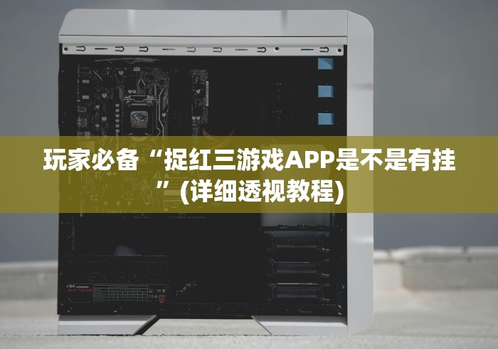 玩家必备“捉红三游戏APP是不是有挂”(详细透视教程)