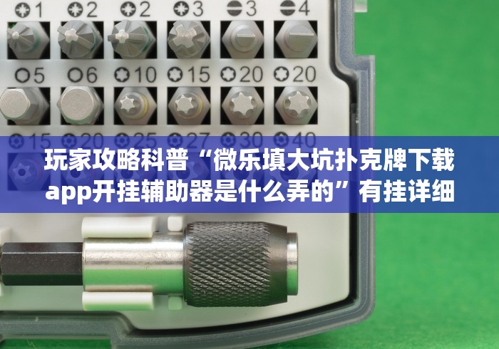 玩家攻略科普“微乐填大坑扑克牌下载app开挂辅助器是什么弄的”有挂详细开挂教程