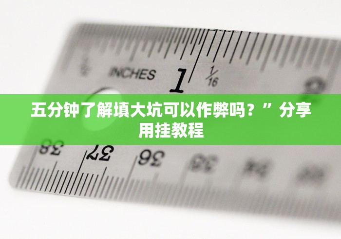 五分钟了解填大坑可以作弊吗？”分享用挂教程