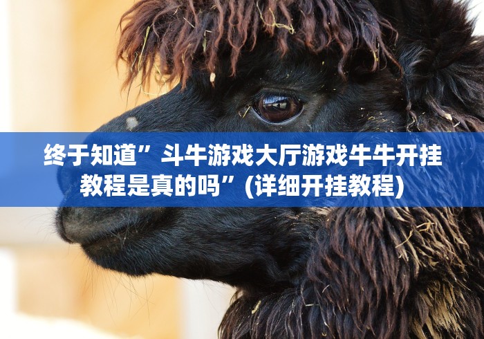 终于知道”斗牛游戏大厅游戏牛牛开挂教程是真的吗”(详细开挂教程)