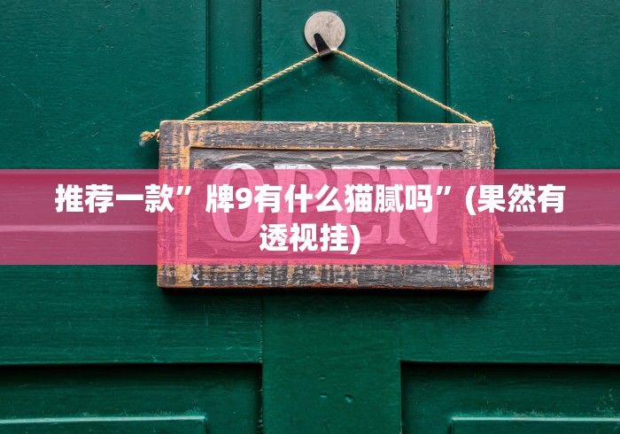 推荐一款”牌9有什么猫腻吗”(果然有透视挂)
