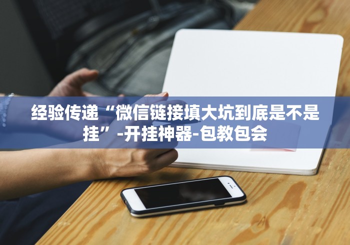 经验传递“微信链接填大坑到底是不是挂”-开挂神器-包教包会