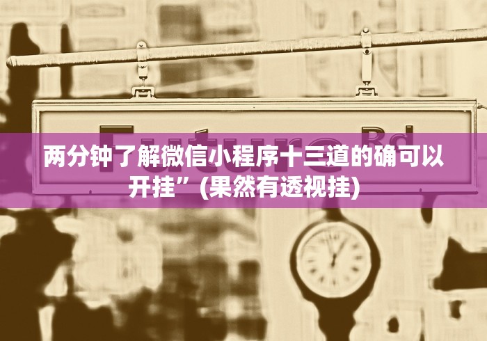 两分钟了解微信小程序十三道的确可以开挂”(果然有透视挂)