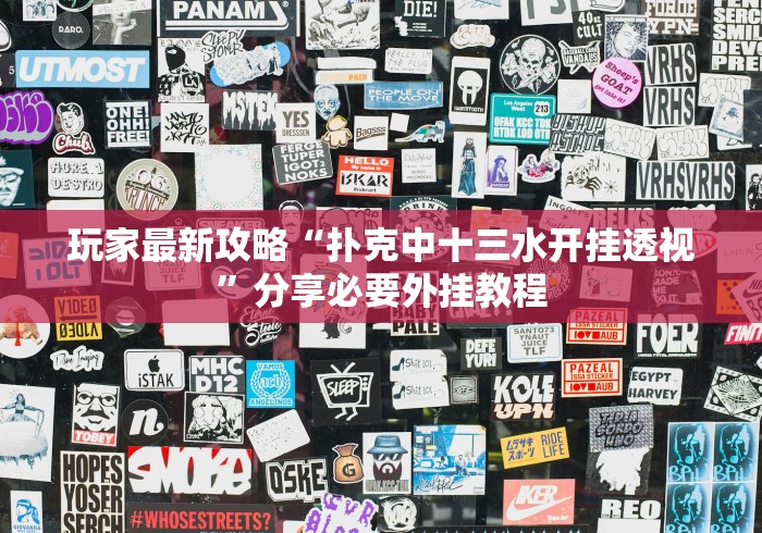 玩家最新攻略“扑克中十三水开挂透视”分享必要外挂教程