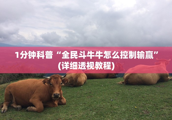 1分钟科普“全民斗牛牛怎么控制输赢”(详细透视教程)