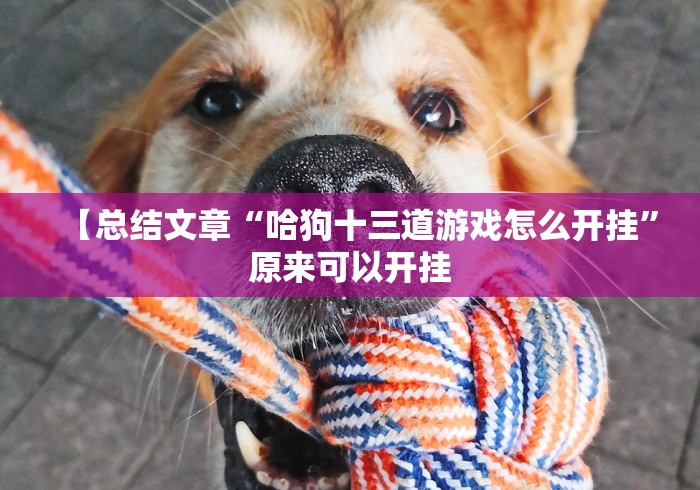 【总结文章“哈狗十三道游戏怎么开挂”原来可以开挂