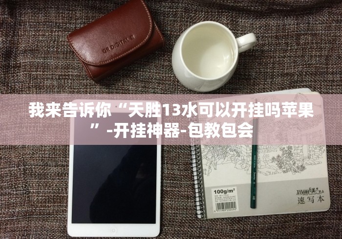 我来告诉你“天胜13水可以开挂吗苹果”-开挂神器-包教包会