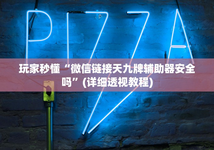 玩家秒懂“微信链接天九牌辅助器安全吗”(详细透视教程)