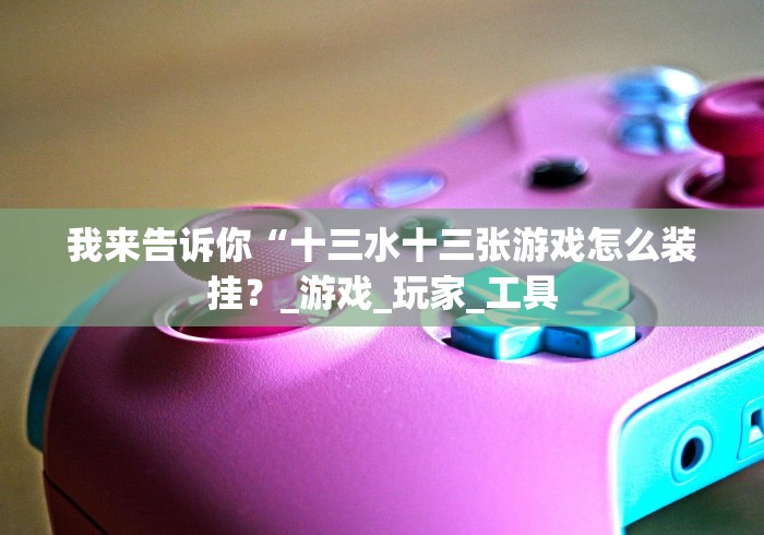 我来告诉你“十三水十三张游戏怎么装挂？_游戏_玩家_工具