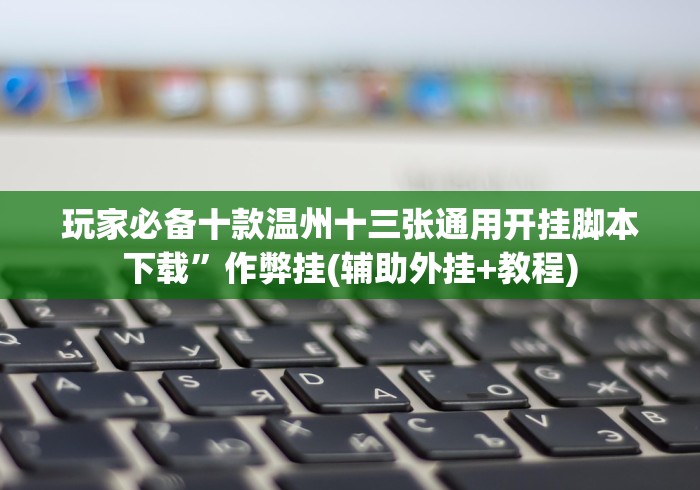 玩家必备十款温州十三张通用开挂脚本下载”作弊挂(辅助外挂+教程)