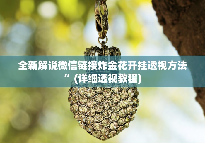 全新解说微信链接炸金花开挂透视方法”(详细透视教程)