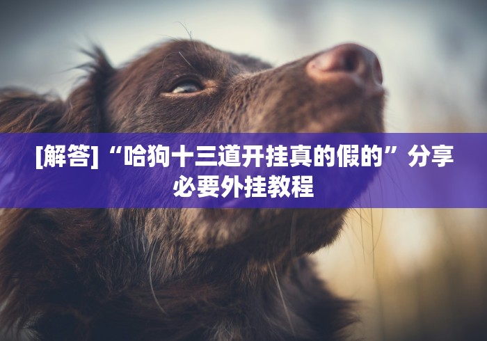 [解答]“哈狗十三道开挂真的假的”分享必要外挂教程