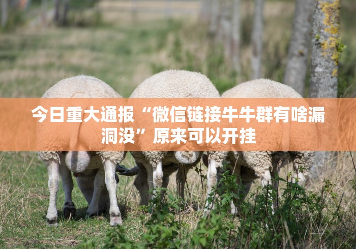 今日重大通报“微信链接牛牛群有啥漏洞没”原来可以开挂