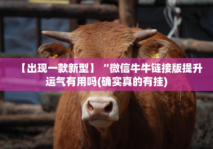 【出现一款新型】“微信牛牛链接版提升运气有用吗(确实真的有挂)