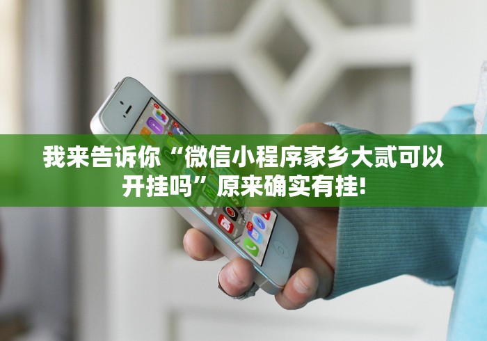 我来告诉你“微信小程序家乡大贰可以开挂吗”原来确实有挂!