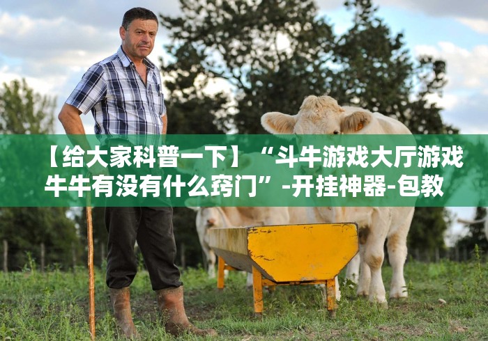 开挂辅助工具“大家玩十三水老是输怎么搞提高胜率”原来可以开挂