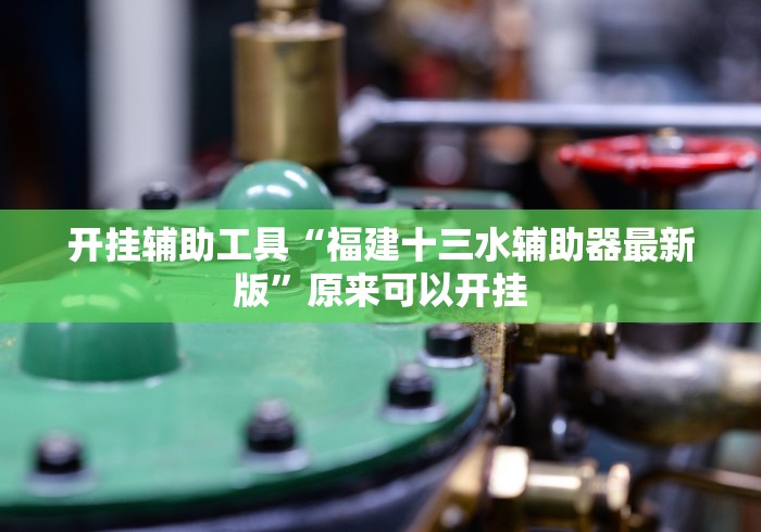 开挂辅助工具“福建十三水辅助器最新版”原来可以开挂