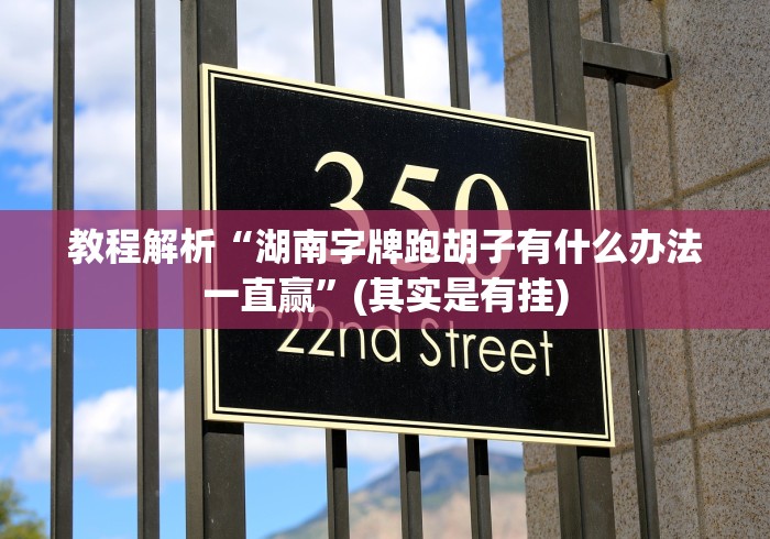 教程解析“湖南字牌跑胡子有什么办法一直赢”(其实是有挂)