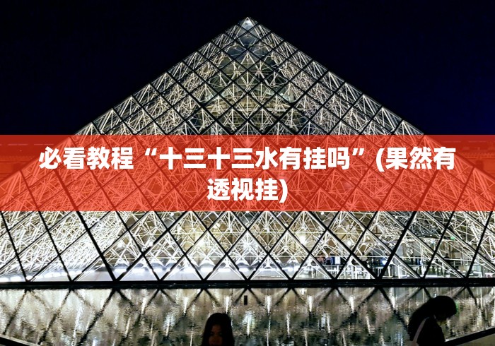 必看教程“十三十三水有挂吗”(果然有透视挂)