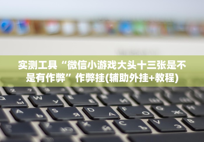 辅助神器“正宗东北三打一可以装挂吗”揭秘透视辅助万能挂