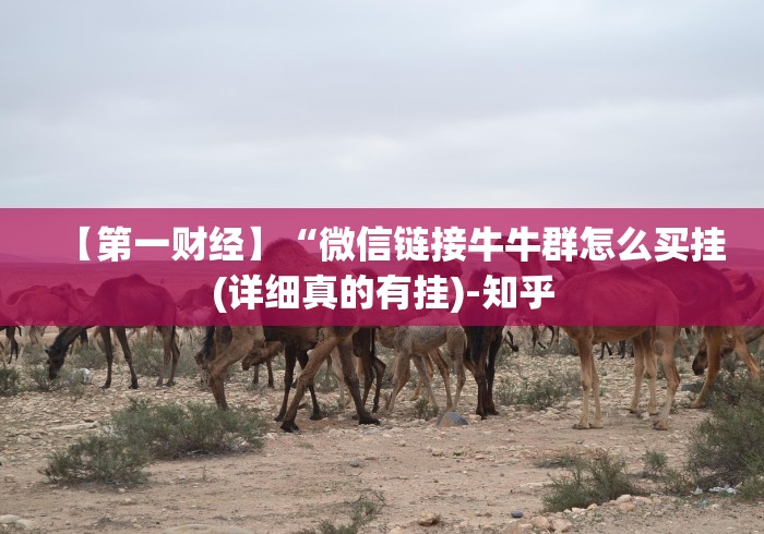 【第一财经】“微信链接牛牛群怎么买挂(详细真的有挂)-知乎