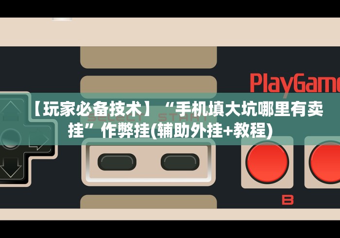 【玩家必备技术】“手机填大坑哪里有卖挂”作弊挂(辅助外挂+教程)