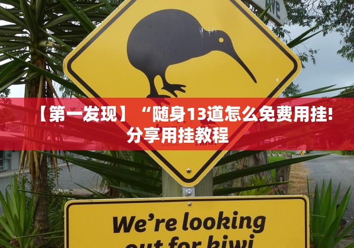 推荐一款”来趣广西十三张正式版充值能提高胜率”作弊挂(辅助外挂+