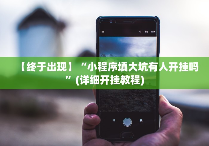 【终于出现】“小程序填大坑有人开挂吗”(详细开挂教程)