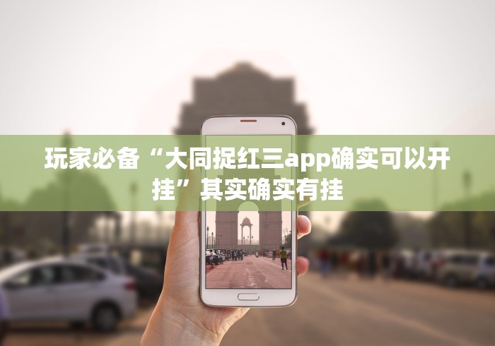 玩家必备“大同捉红三app确实可以开挂”其实确实有挂