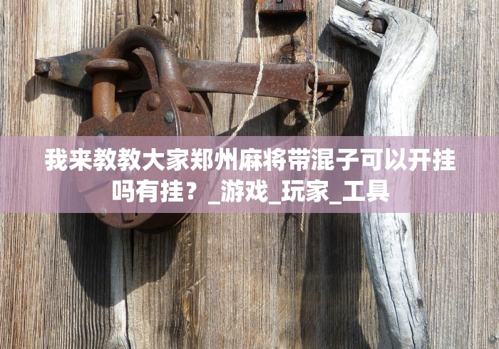 我来教教大家郑州麻将带混子可以开挂吗有挂？_游戏_玩家_工具