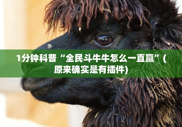 1分钟科普“全民斗牛牛怎么一直赢”(原来确实是有插件)