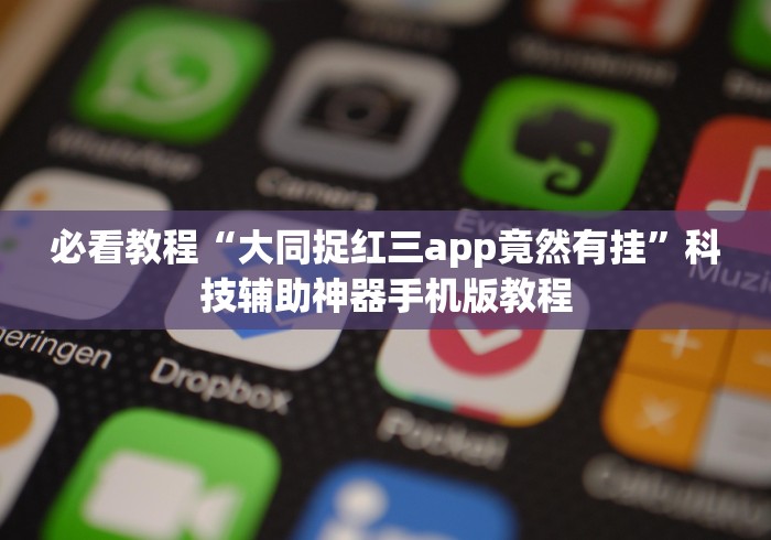 必看教程“大同捉红三app竟然有挂”科技辅助神器手机版教程