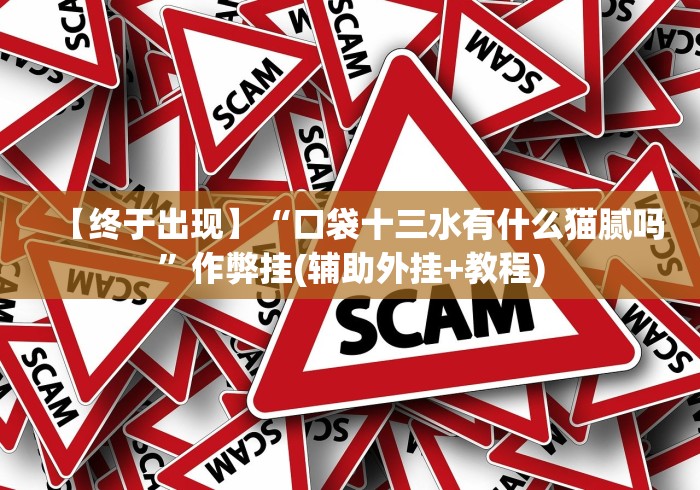 【终于出现】“口袋十三水有什么猫腻吗”作弊挂(辅助外挂+教程)