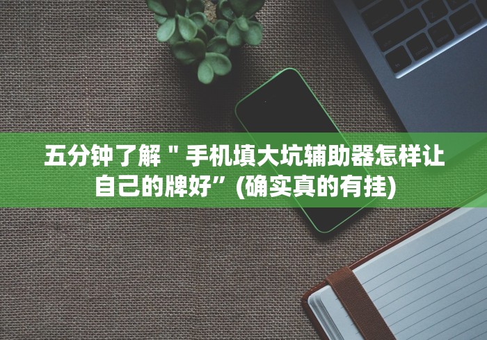 五分钟了解＂手机填大坑辅助器怎样让自己的牌好”(确实真的有挂)