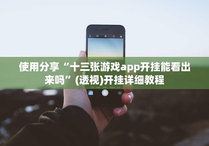 使用分享“十三张游戏app开挂能看出来吗”(透视)开挂详细教程